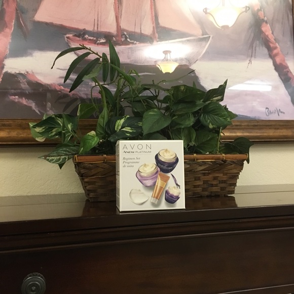 Anew Platinum Regimen Set - Picture 2 of 5